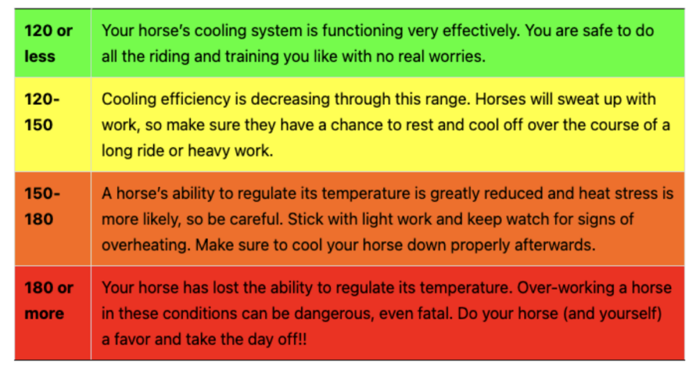 Heat and Your Horse New England Equine Rescue North
