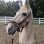 PXL_20250925_181749949